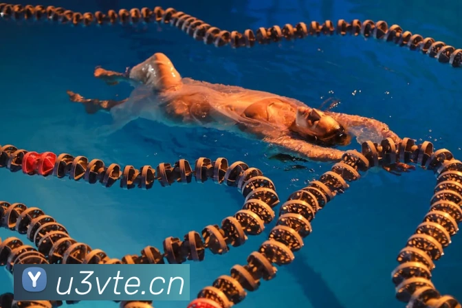 leyu网页发展历程